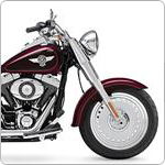 Harley-Davidson FLSTF1300 Fat Boy