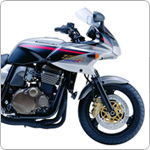 Kawasaki ZRX1200S 2001> Onwards