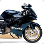 Kawasaki ZX-12R 2002-2006