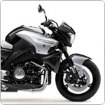 Suzuki GSX1300BK B-King 2008-2012