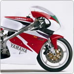 Yamaha TZ250 (All years)