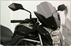 kawasaki er6n screen